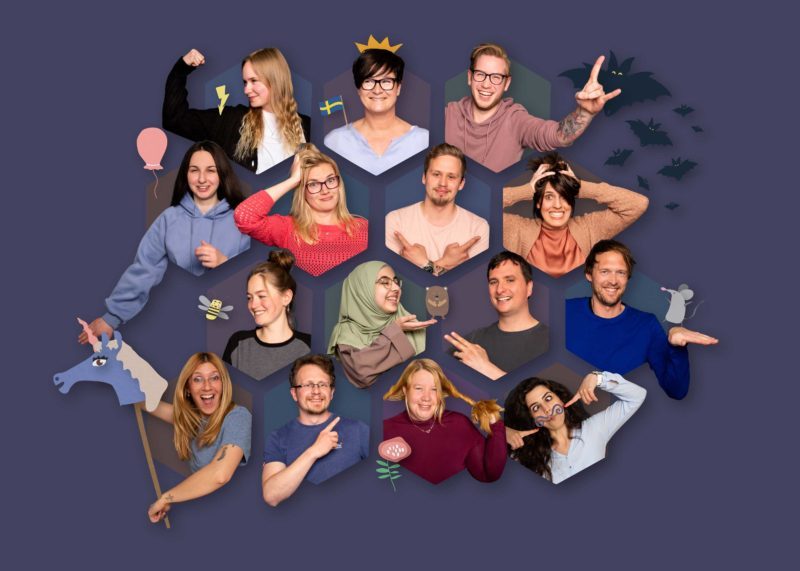 Collage Elementar Team